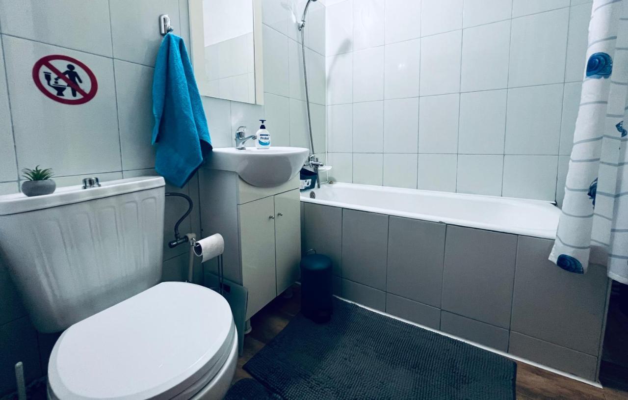 スチャヴァAltheda Living Tineretului E8アパートメント エクステリア 写真